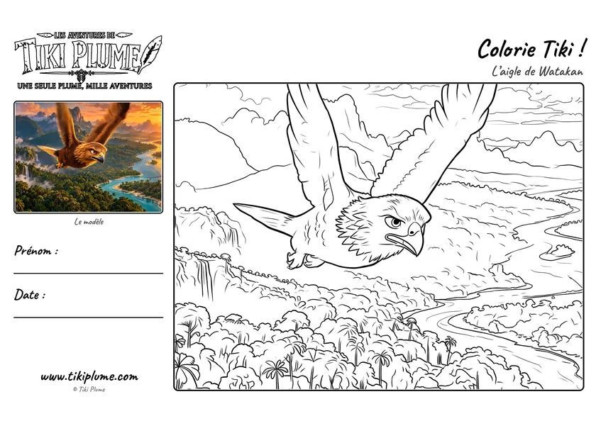 Page de coloriage de Tiki Plume : L’aigle de Watakan, avec modèle couleur à gauche et dessin à colorier à droite.